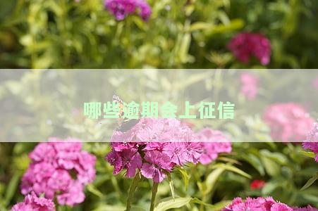 哪些逾期会上征信