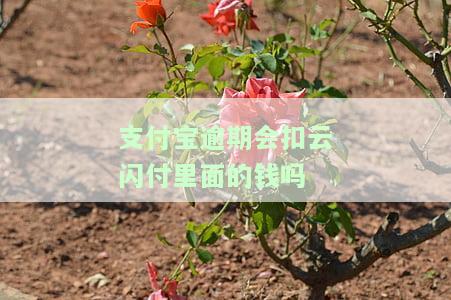 支付宝逾期会扣云闪付里面的钱吗，如何处理？