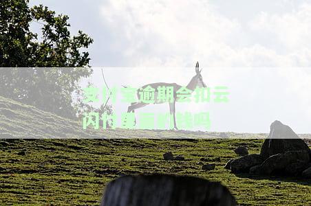 支付宝逾期后会自动扣银行账号的钱吗？怎么办？