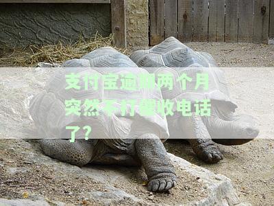 支付宝逾期两个月突然不打催收电话了怎么办