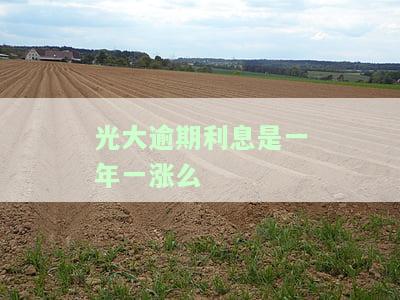 光大逾期利息是一年一涨么