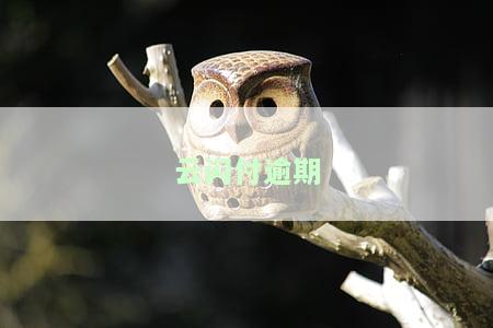 云闪付借钱逾期一天会怎么样