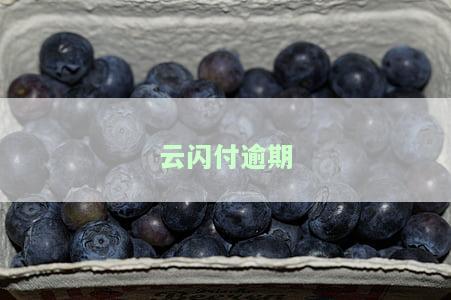 云闪付逾期还款后可以继续借款吗？