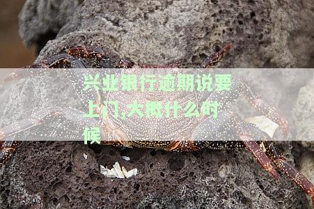 兴业银行逾期催收：大概什么时候上门