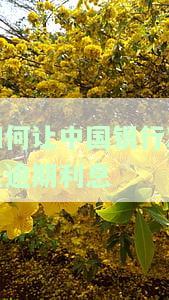 如何让中国银行减免逾期利息的方法及申请条件