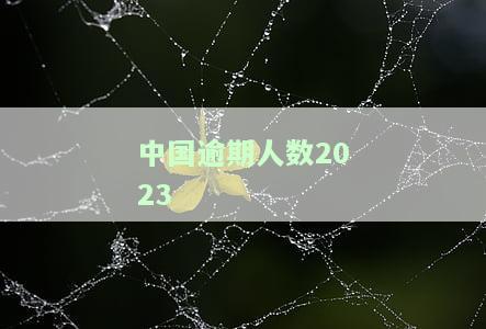 中国逾期人数2023