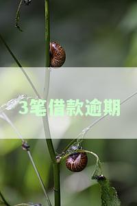 逾期三笔可以申请个人信用贷款吗，怎么办？