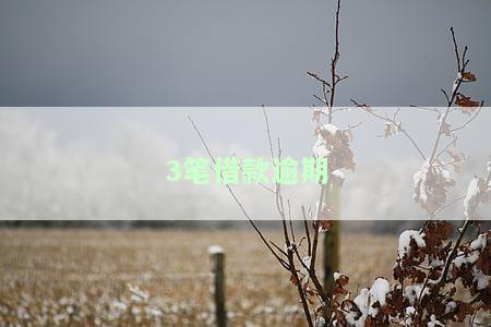 逾期3次贷款有影响吗，怎么办？