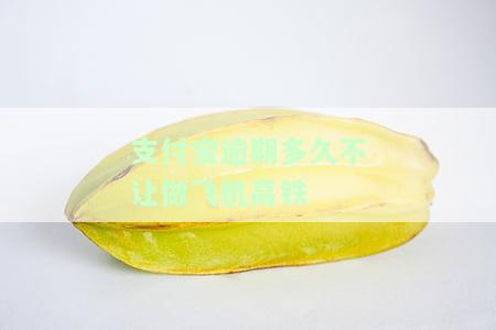 支付宝逾期多久不能坐高铁