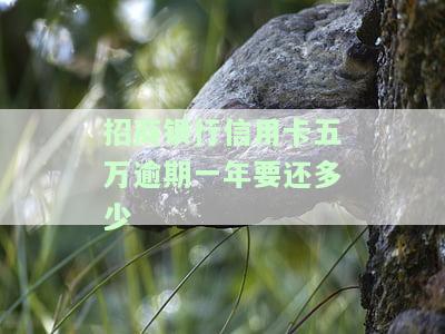招商银行信用卡五万逾期一年本金还款