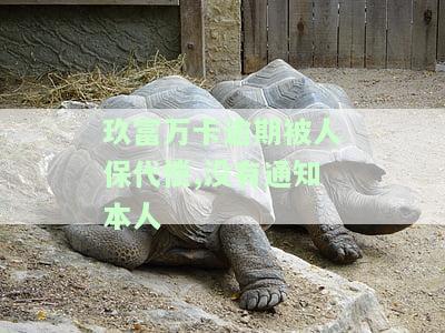 玖富万卡欠钱逾期保险代偿后会怎样？