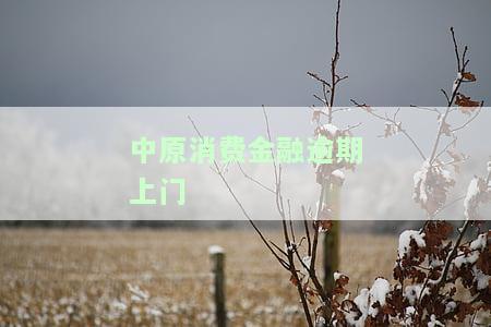 中原消费金融逾期上门催收真的有用吗？