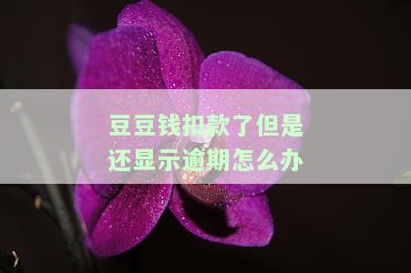 豆豆钱扣钱了还显示未还款，为什么未能自动还款？