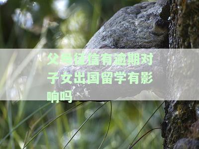母征信逾期影响孩子上学吗？如何应对？