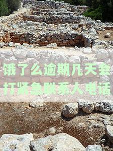 饿了吗逾期会多久可以借款？