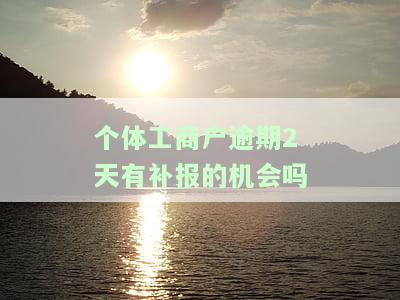 个体工商户逾期2天有补报的机会吗为什么要罚款和交税？