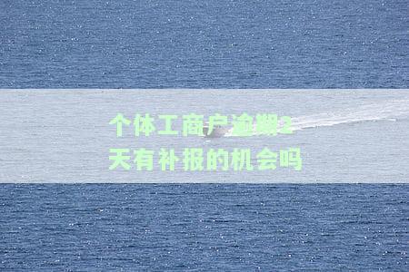 个体工商户申报逾期如何处理与罚款