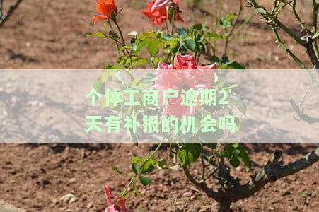 个体工商户逾期2天有补报的机会吗