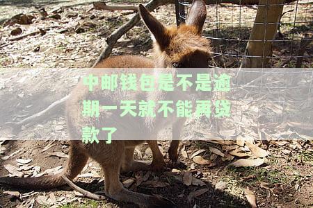 中邮钱包逾期一天不能再贷款了吗？