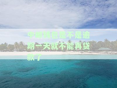中邮钱包逾期3天还进去了，安全吗？