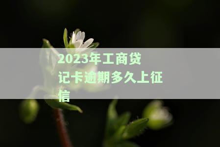 2023年工商贷记卡逾期多久上征信记录及应对方法