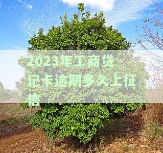 2023年工商贷记卡逾期多久上征信