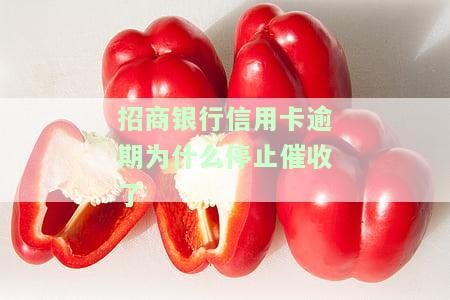 招商银行信用卡逾期为什么停止催收了呢，怎么办？