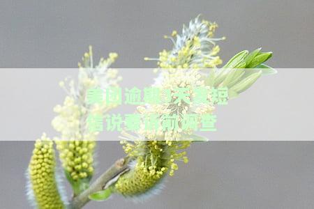 美团逾期发短信说诉前函已发送到村委会让我去拿