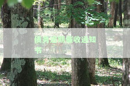 债务逾期催收通知书