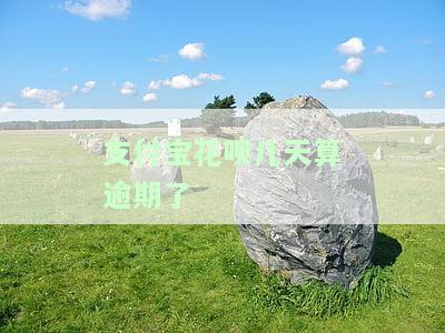 支付宝花呗逾期多少天会上征信记录？