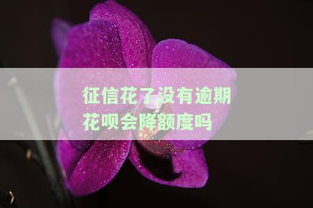 征信花呗逾期会降额度怎么办