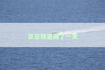 豆豆钱逾期了一天