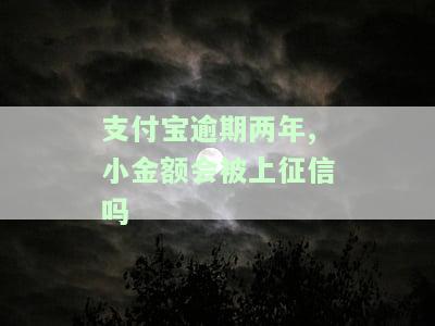 支付宝逾期两年,小金额会被上征信吗