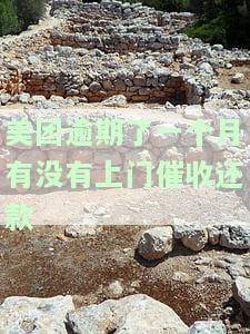 美团逾期一个月会不会向本地法院起诉