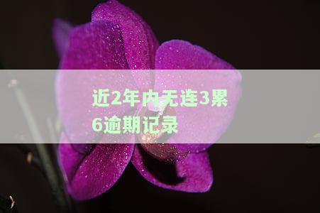 两年内累计4次逾期如何应对？
