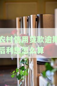 农村信用贷款逾期怎么办理及其影响