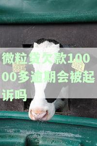 微粒贷欠款10000多逾期会被起诉吗，怎么办？