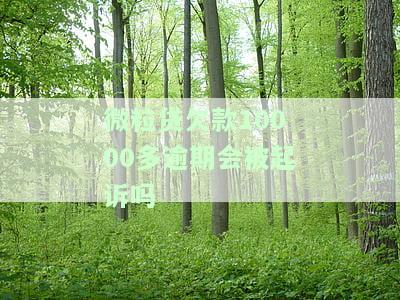 微粒贷欠款10000多逾期会被起诉吗