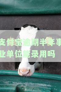 支付宝逾期半年事业单位能录用吗怎么办及影响公务员政审