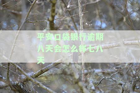 平安银行口袋银行逾期一天会怎么样，逾期2天有影响吗还可以继续使用吗，逾期1个月会上征信吗，无法偿还款