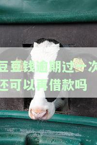 豆豆钱逾期几天全额还款