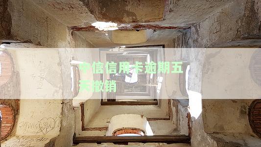 中信信用卡逾期如何协商解决及影响，一天还款后的解决方式？