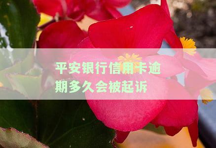 平安银行信用卡逾期多久会被起诉成功？