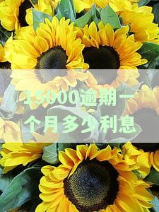 15000逾期一年还多少，利息如何计算