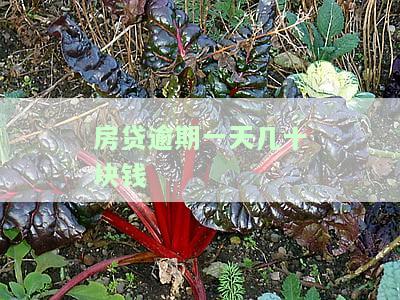 房贷逾期一天扣多少钱、滞纳金、利息和违约金？