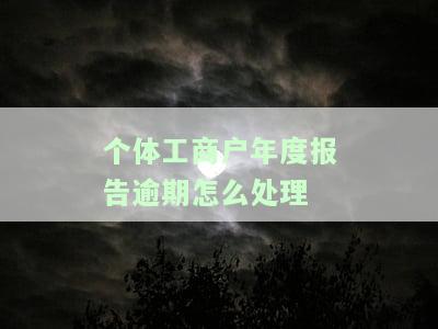 个体工商户年度报告逾期怎么处理