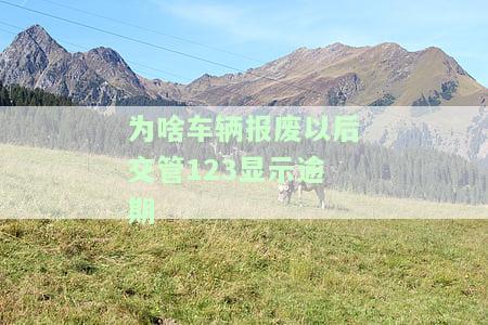 车报废后在12123上，车辆报废后12123上显示什么