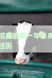 招商逾期几天会降额吗，征信影响怎么办？