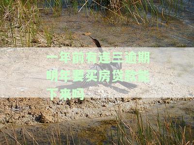 一年前有连三逾期明年要买房贷款能下来吗
