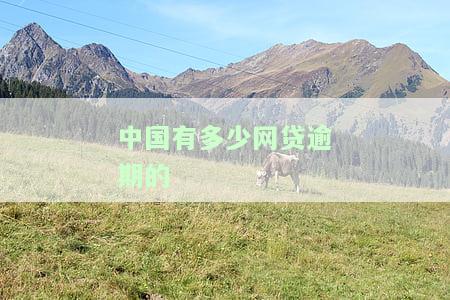 中国有多少网贷逾期的人